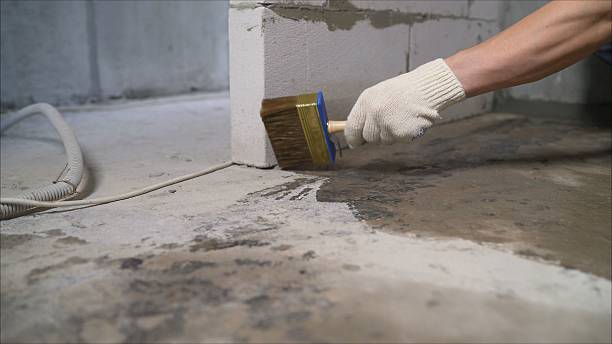 24/7 Emergency Interior Drainage System experts in Ridgewood, IL